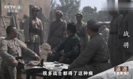 战将在线观看,热血征途，铁血豪情